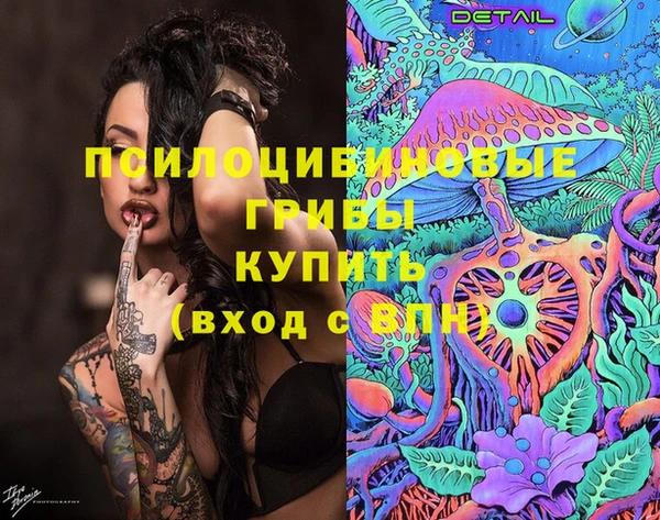 2c-b Сосновка