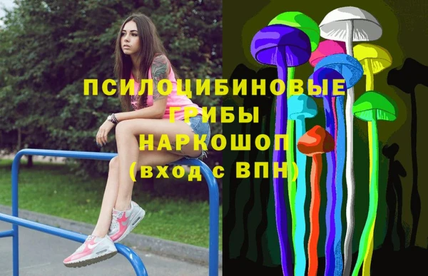 spice Алексин