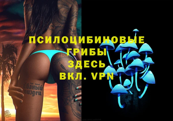 spice Алексин