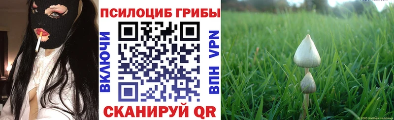 Псилоцибиновые грибы мухоморы  kraken tor  Емва 